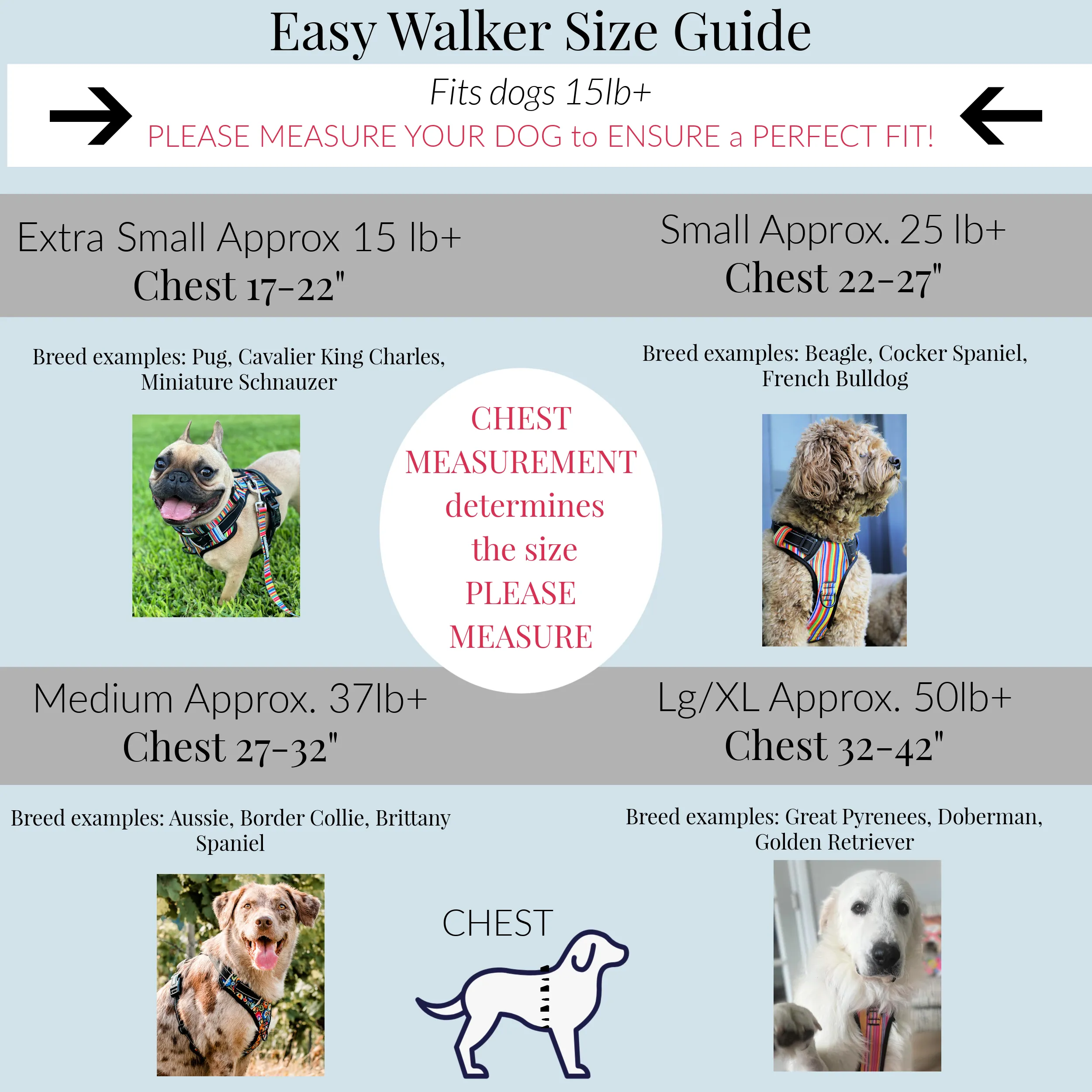 Easy Walker Molly Harness Wholesale