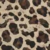 Leopard-Print Overlay Romper