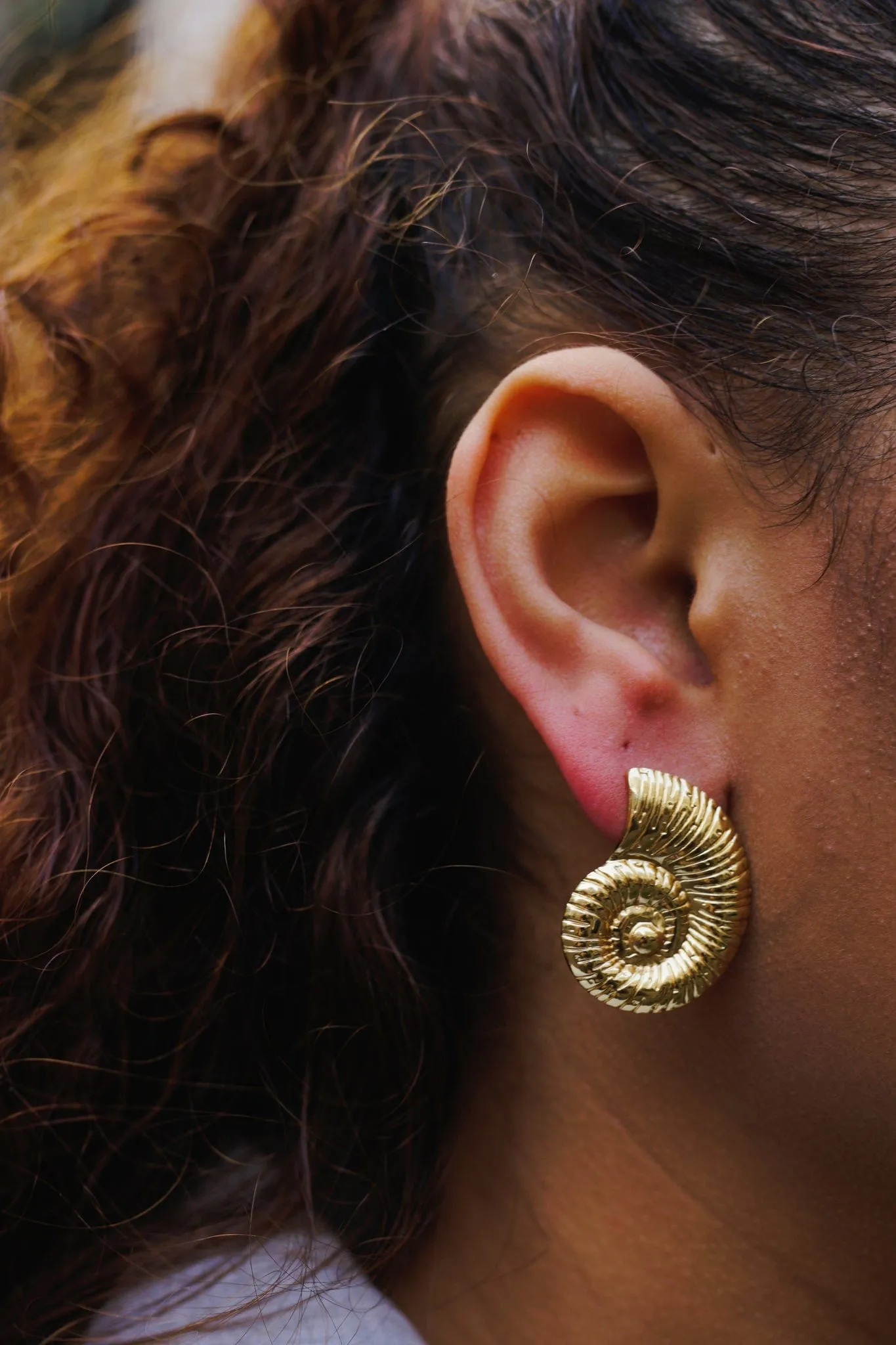 Round Shell Earrings - Goud